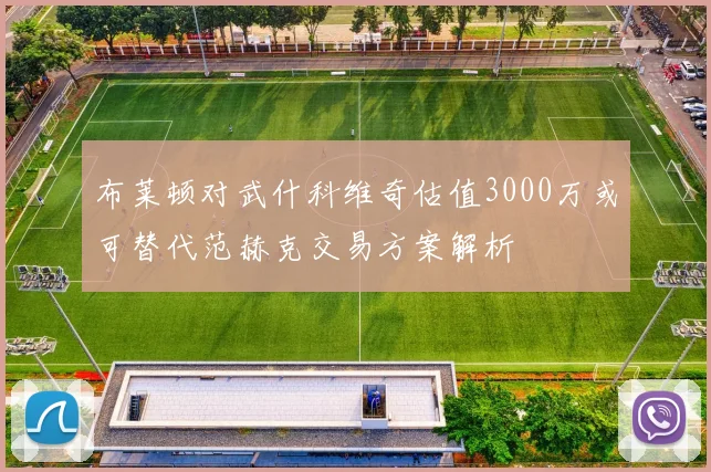 布莱顿对武什科维奇估值3000万或可替代范赫克交易方案解析